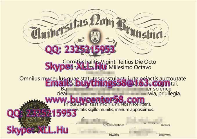 University of  New Brunswick fake diploma