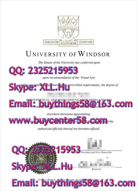 fake UNIVERSITY of WINDSOR diploma