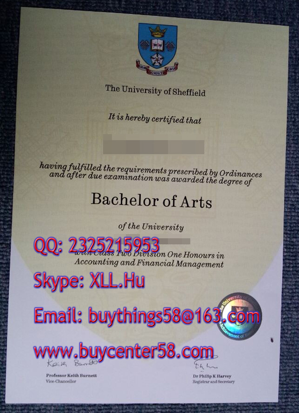 University of Sheffield bachelor of arts degree. University of Sheffield fake degree
