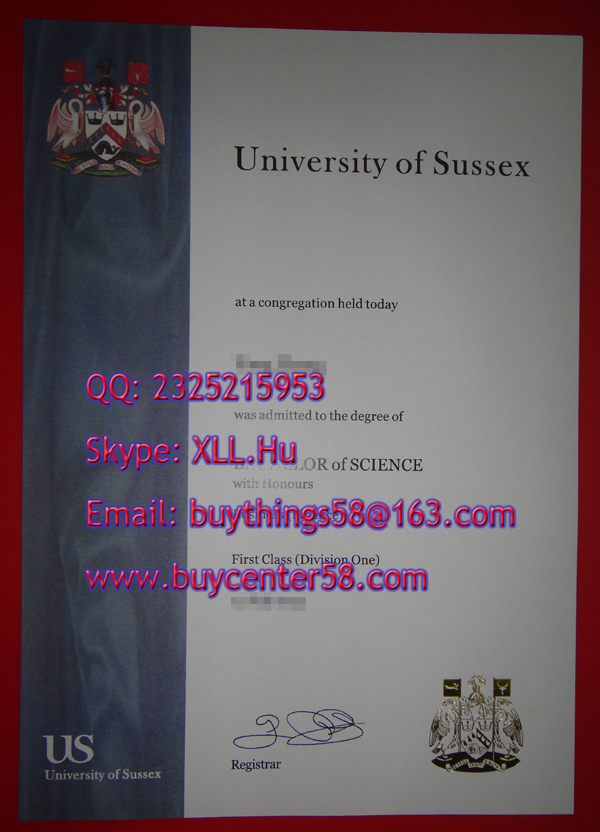 University of Sussex Bachelor of Science degree, University of Sussex diploma. US certificate