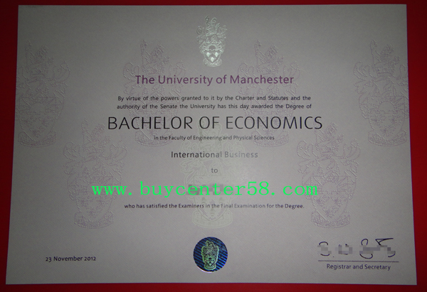 University of Manchester degree