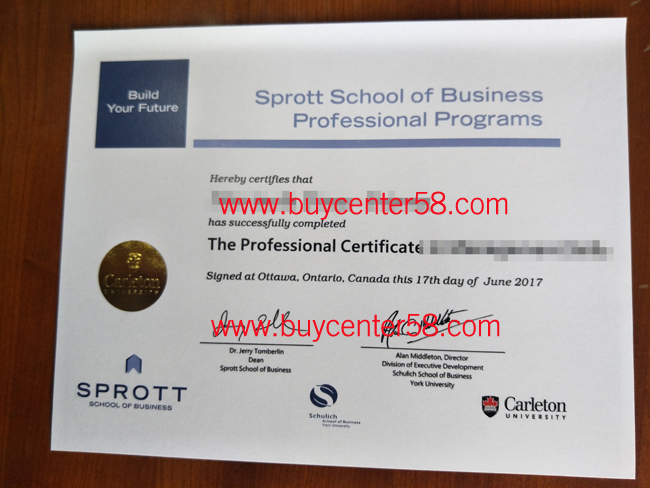 buy Sprott School of Business professional programs certificate
